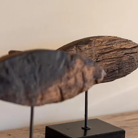 Haus Sonnenstrahl Whg 1 Eg Διαμέρισμα